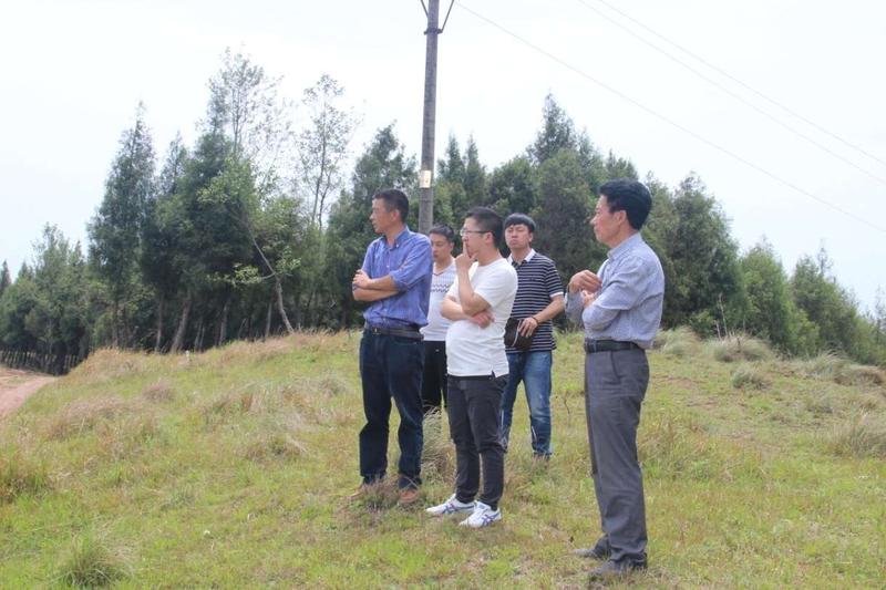 冯总和业主在项目现场