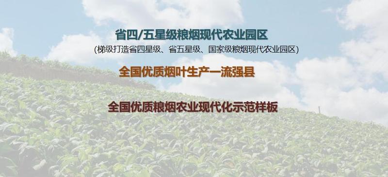幻灯片6.jpg