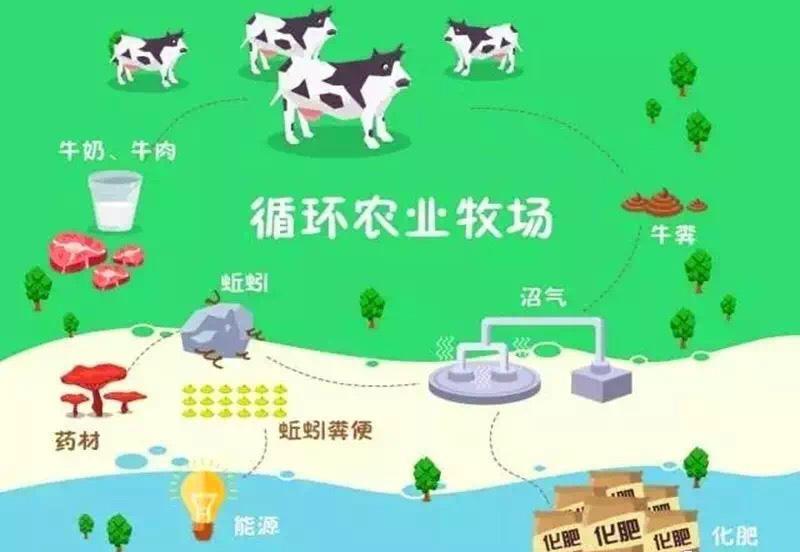 乡村振兴战略之产业振兴 - 四川智然元素农业科技有限公司